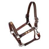 Antique Choco Leather Halter with Arrow Rawhide